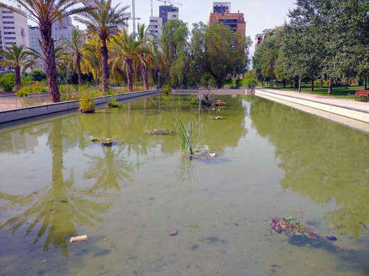 Estos huertos cuentan con acequias y albercas que les abastecen de agua, preservando el legado agrícola de la zona.