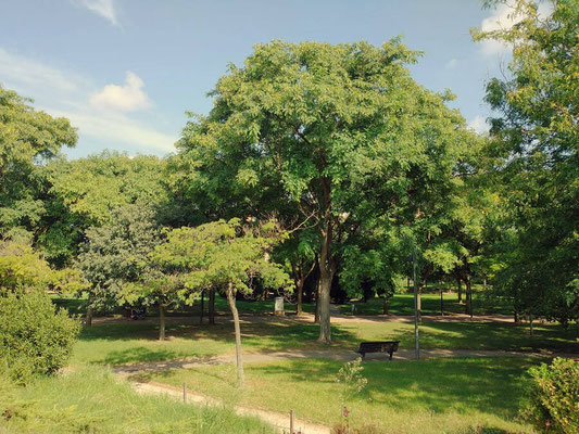 El jardín de Polifilo es un espacio verde que cuenta con rincones espectaculares como la Puerta del Destino.