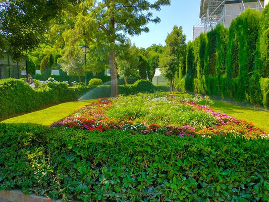Un precioso jardín lleno de flores, por algo estamos en la tierra de las flores.