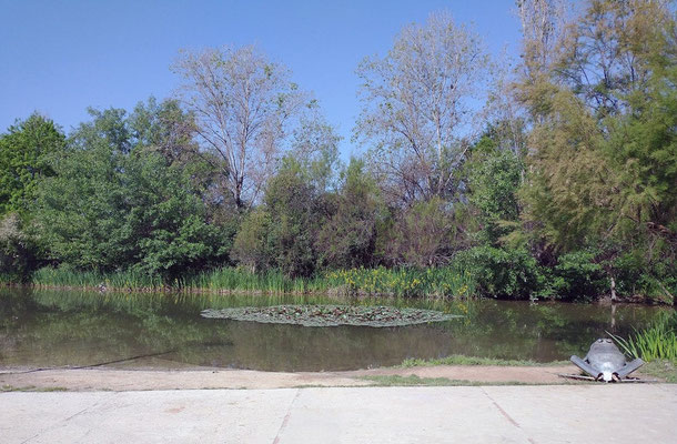  Al entrar al parque  lo primero que nos encontramos  es con el Lago, es el único parque o jardín con un lago natural con patos y peces.