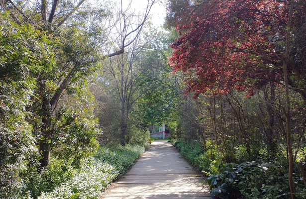 Estamos acabando nuestro recorrido por este hermoso parque.