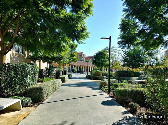 El parque cuenta con una amplia variedad de vegetación, incluyendo pinos, jacarandas, alcornoques y naranjos. 
