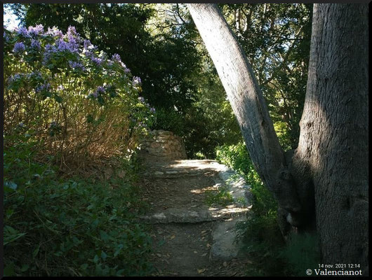 Subida a la montañita y al mirador del Jardín  de Monforte