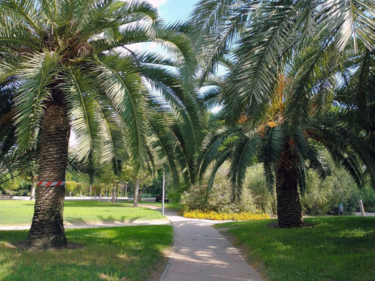 Pasear con total tranquilidad por este jardín es un verdadero placer.