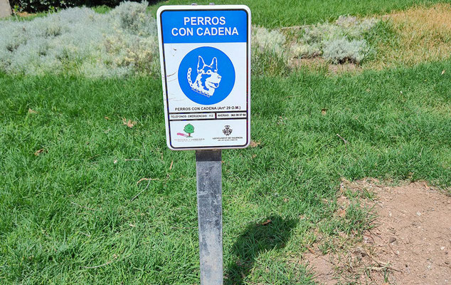 Perros con cadena.