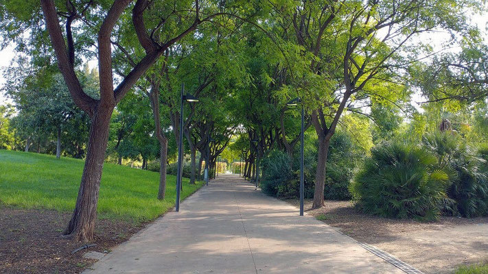 El jardín también cuenta con una gran diversidad de árboles, incluyendo laureles, cipreses, almeces, falsos plátanos y tipuanas.