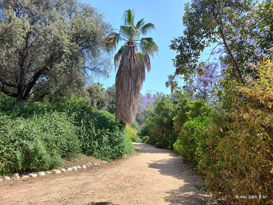 Es un placer pasear por estos caminos del parque para relajarse y disfrutar de un día maravilloso.