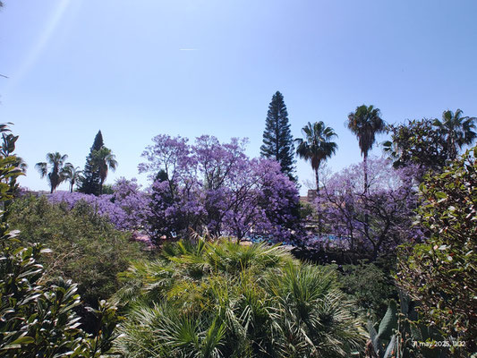 Una colorida vista desde lo alto del parque de Benicalap.