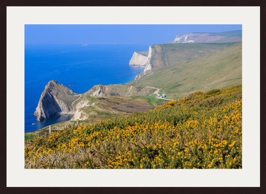 Coast of Dorset