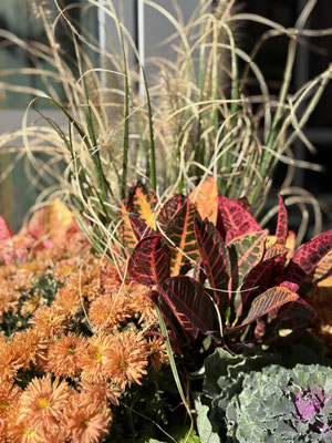 Herbststimmung allerorten