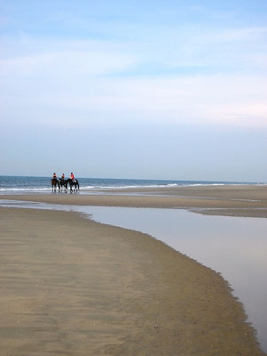 Norderney Strandausritt - immer ein ganz besonderes Erlebnis