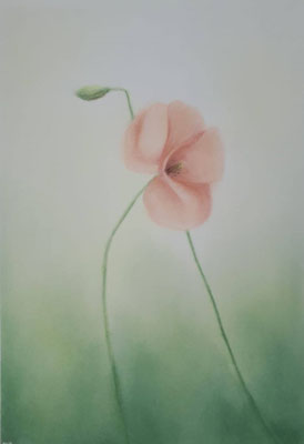 Bloem - Soft pastel op A3 (c) Daphne Helena