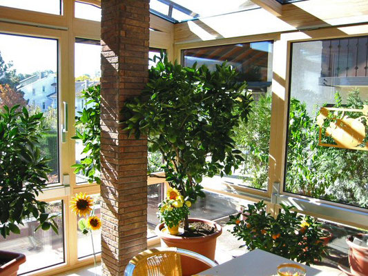 Wintergarten Holz Alu Steinbach