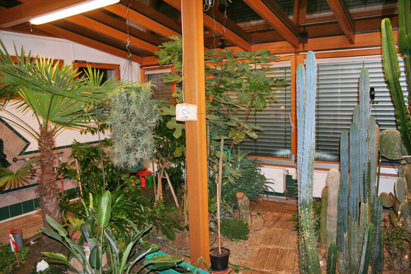 Wintergarten Holz Alu bei Hindlingen (Frankreich)