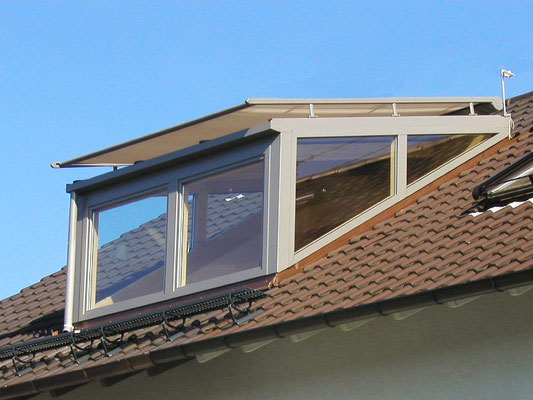 Dachgaube bei Baden-Baden