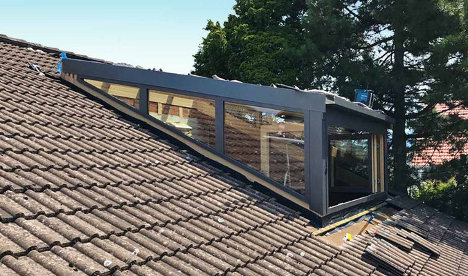 Wintegarten bei Freiburg