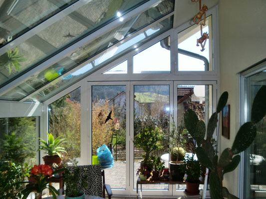 Wintergarten Aluminium Zell am Harmersbach