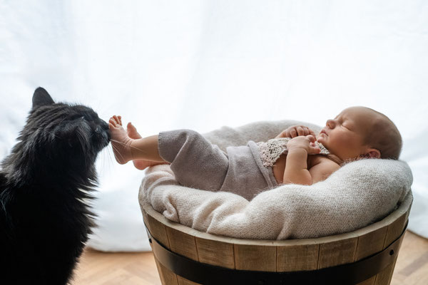 Familie mit Neugeborenem, gemütliches Shooting zuhause, Leipzig
