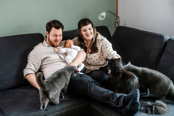 Familie mit Neugeborenem und drei Katzen, gemütliches Shooting zuhause, Leipzig