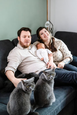 Familie mit Neugeborenem und drei Katzen, gemütliches Shooting zuhause, Leipzig