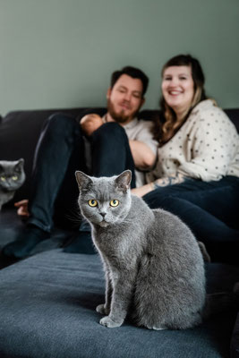 Familie mit Neugeborenem und drei Katzen, gemütliches Shooting zuhause, Leipzig