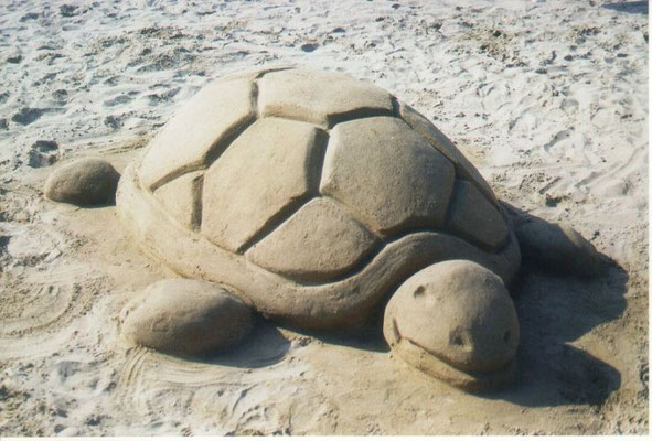 2004 Turtle