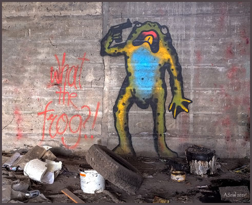 What the Frog