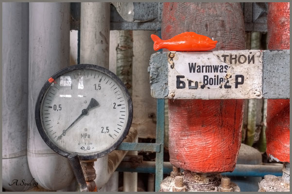 Warmwasserboiler