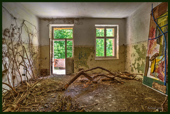 Zimmergarten