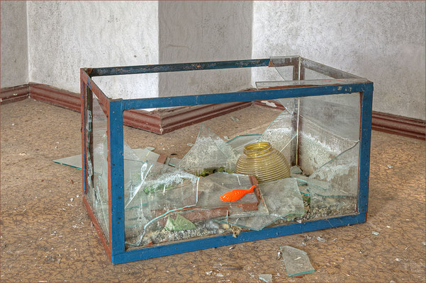Aquarium
