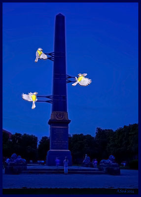 Braunschweiger Lichtparcours 2024/Meisen im Anflug