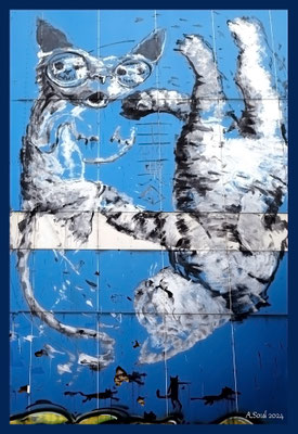 Katzenuniversum