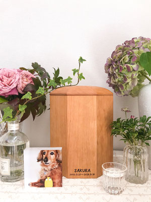 さくらちゃん（I様）4号寸（チェリー）