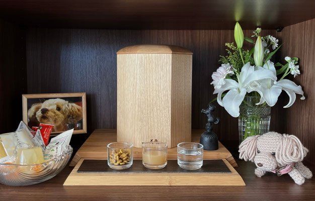 メルちゃん（Y様）5号寸（クルミ）