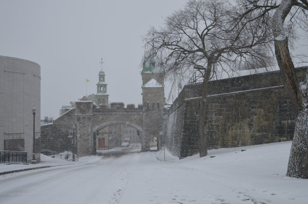 Clichés pris furtivement entre deux flocons et sous un épais brouillard qui nous empêchait de voir à 50 mètres...