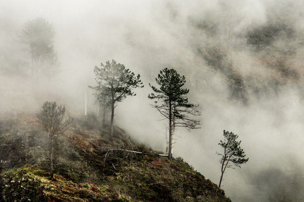 Madeira