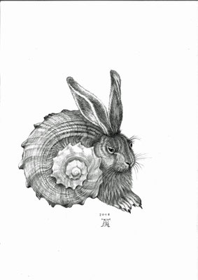 Herr Dürer malt einen Hasen 5, DIN A3, schwarzer Farbstift auf Papier (2018)