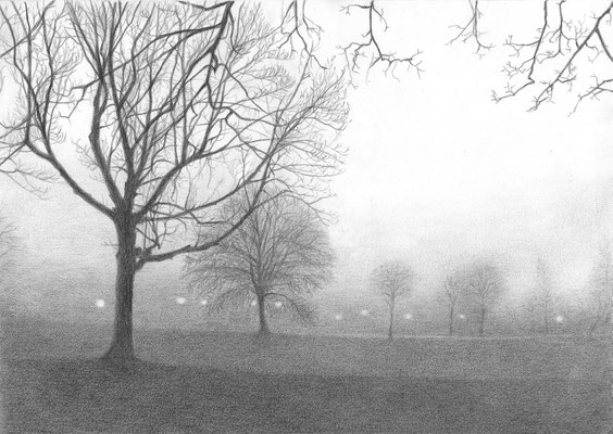 Wiese im Nebel, Bleistift auf Papier, DIN A4 (2026)
