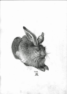 Herr Dürer malt einen Hasen 3, DIN A3, schwarzer Farbstift auf Papier (2018)