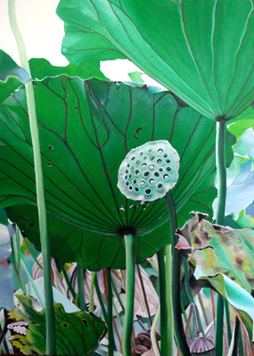 Lotus, 70x100cm, Öl auf Leinwand (2011)