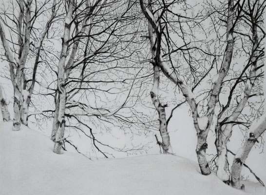 Schnee am St. Moritzer See, schwarzer Farbstift auf Papier, DIN A4 (2022)