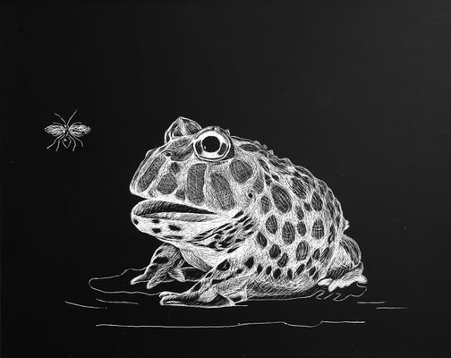 Frosch, Acryl auf MDF-Platte, Kratztechnik, 24x30cm (2018)