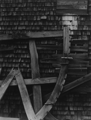 Boat Ribs and Shingles, Gloucester, MA 1958 (Reverse Version)