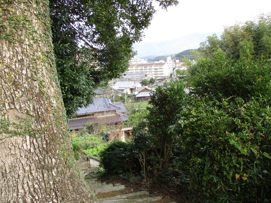 「お観音様」からの風景