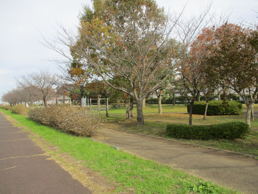 関宿城内公園