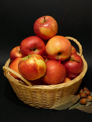 "Pommes d'automne"  cliché réalisé par  Dominique