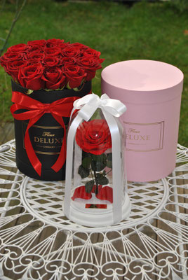 Ewige Rose In Glasglocke Konservierte Rosen In Der Box