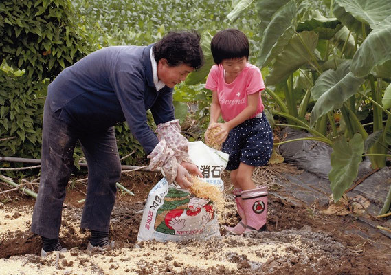 夏　佳作　いつ芽が出るの？　市山真由美