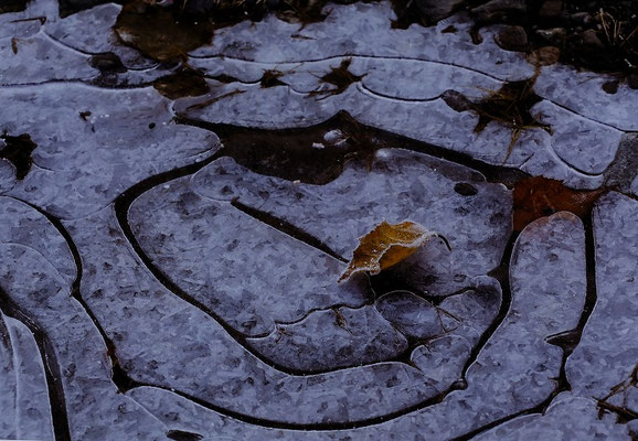 自由部門　銅賞　寒い朝　伊戸川和子