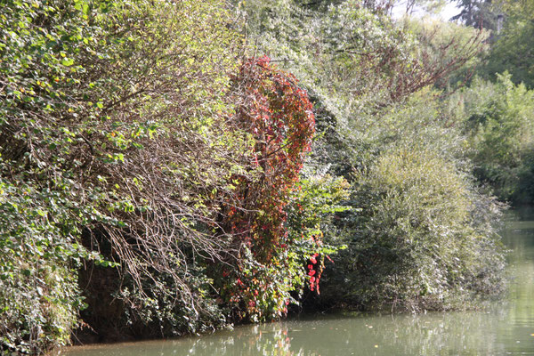 Hausboot-Tour auf dem Canal de Montech, Canal Latéral à la Garonne und Petite Baise 